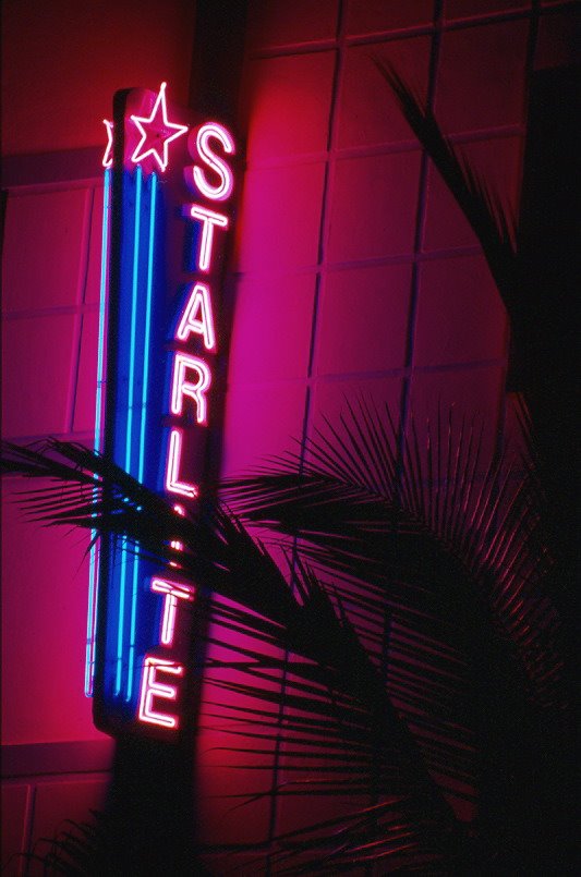 Fun and palms