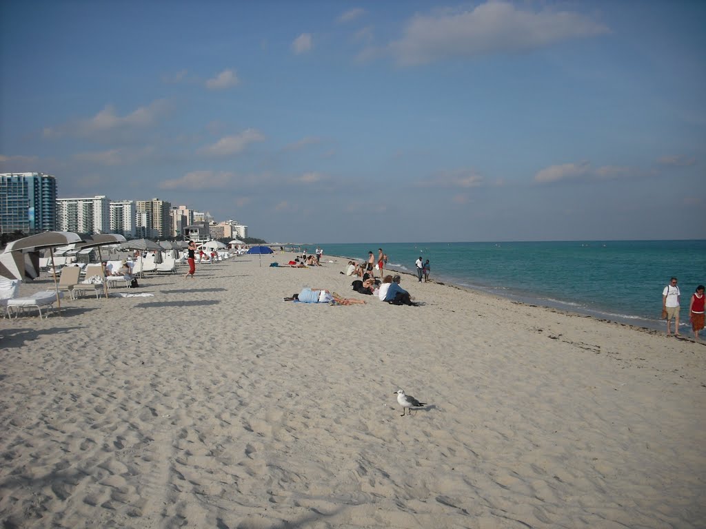 Miami South Beach