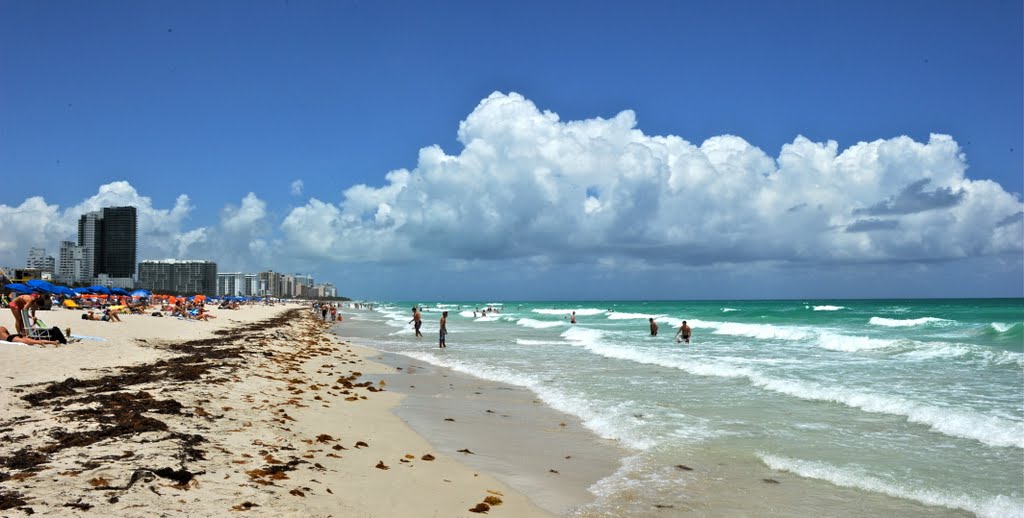 Miami Beach , the Beach !!