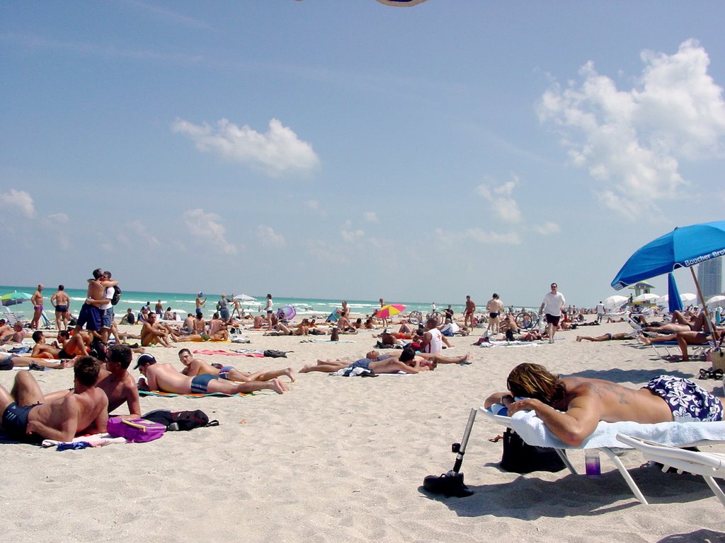2004-05-05  041 Beach Crowd