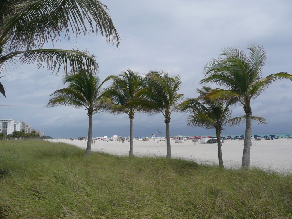 Miami - FL - USA