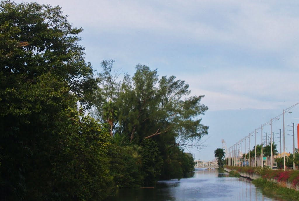Canal del rio Okeechobee