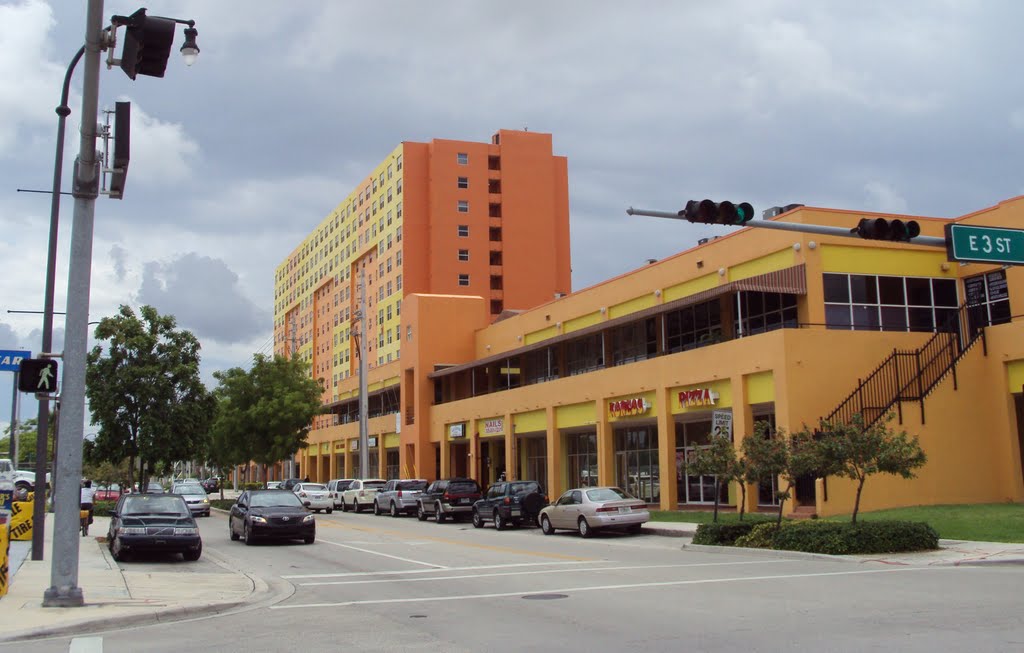 Apmts & Shopping Building at E 3rd St & E 1st Ave