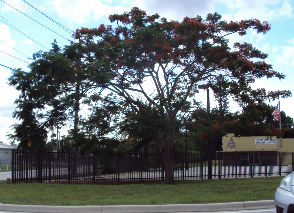 Centro Masonico-Oleeta West Dade Masonic Center Building-East Drive & S Royal Poinciana Blvd