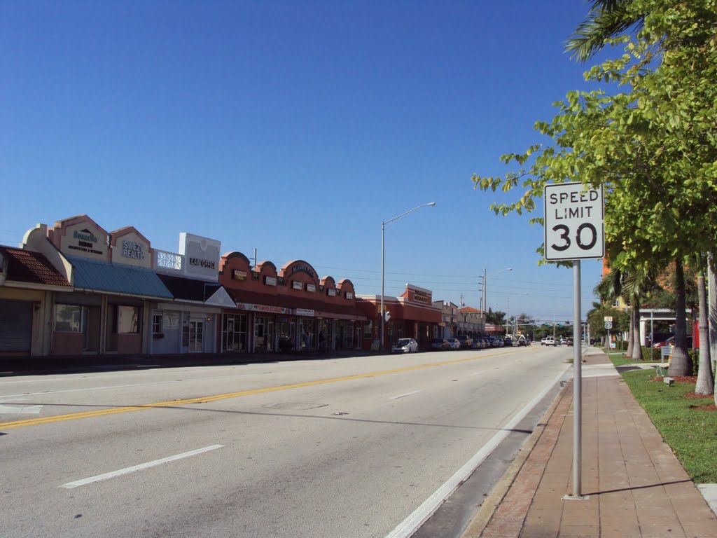 Hialeah Drives Perspective