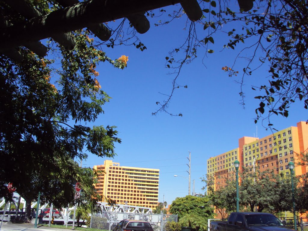 Skyline under the Pergola