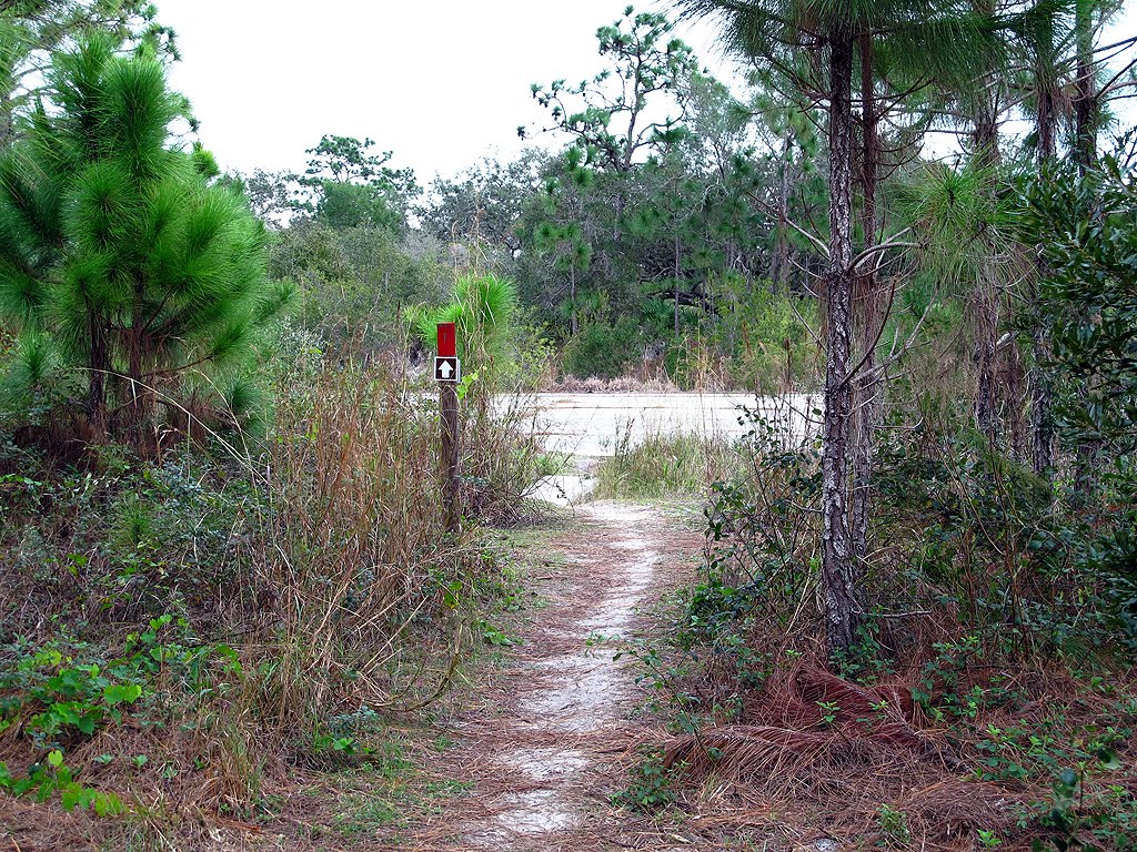End of Red Trail