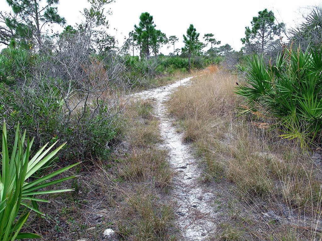 Trail Merging