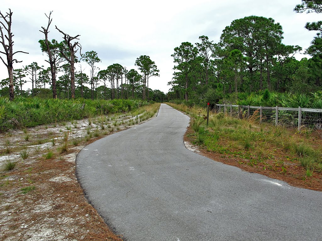 Red Trail Aong Paved Trail for a While
