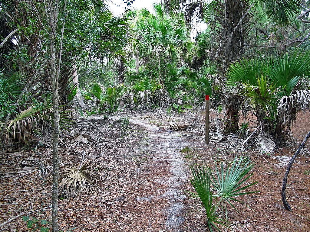 Red Blazed Trail Curve