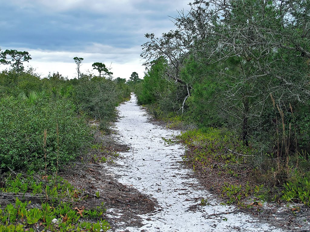 Very Sandy Section of the Trail