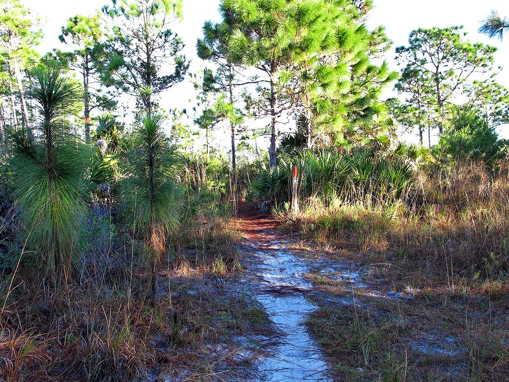 Red Trail View