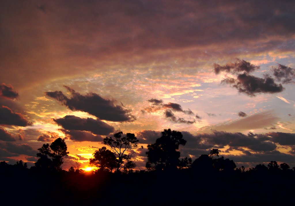 Sunrise on Malabar Woods Blvd.
