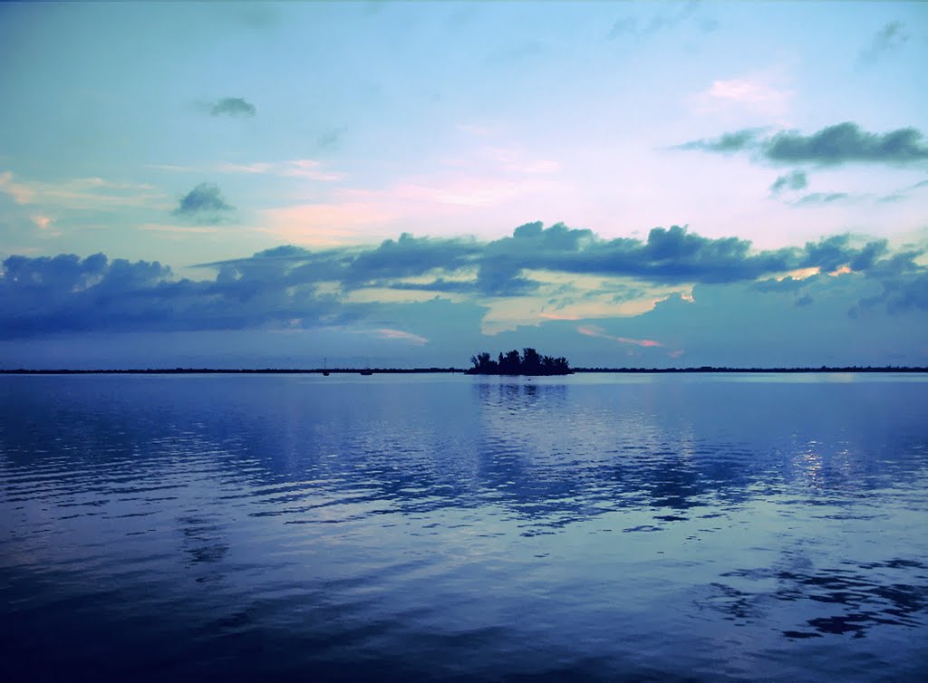 Island in the Blue