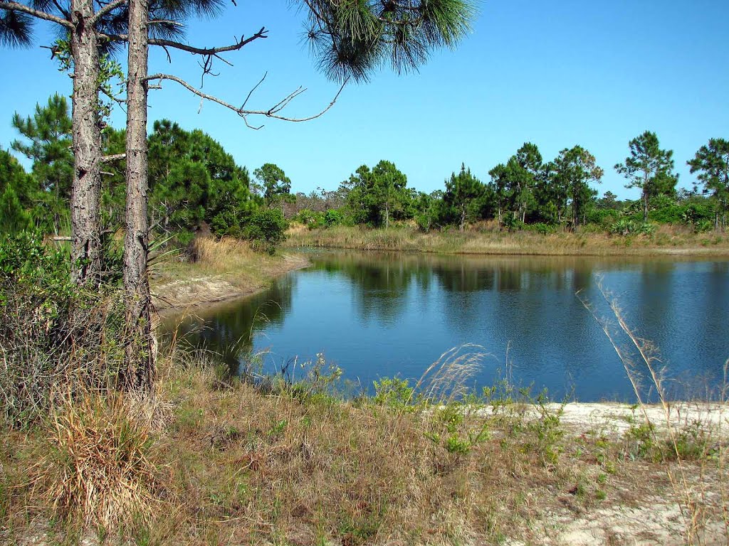 Pretty pond in the sanctuary