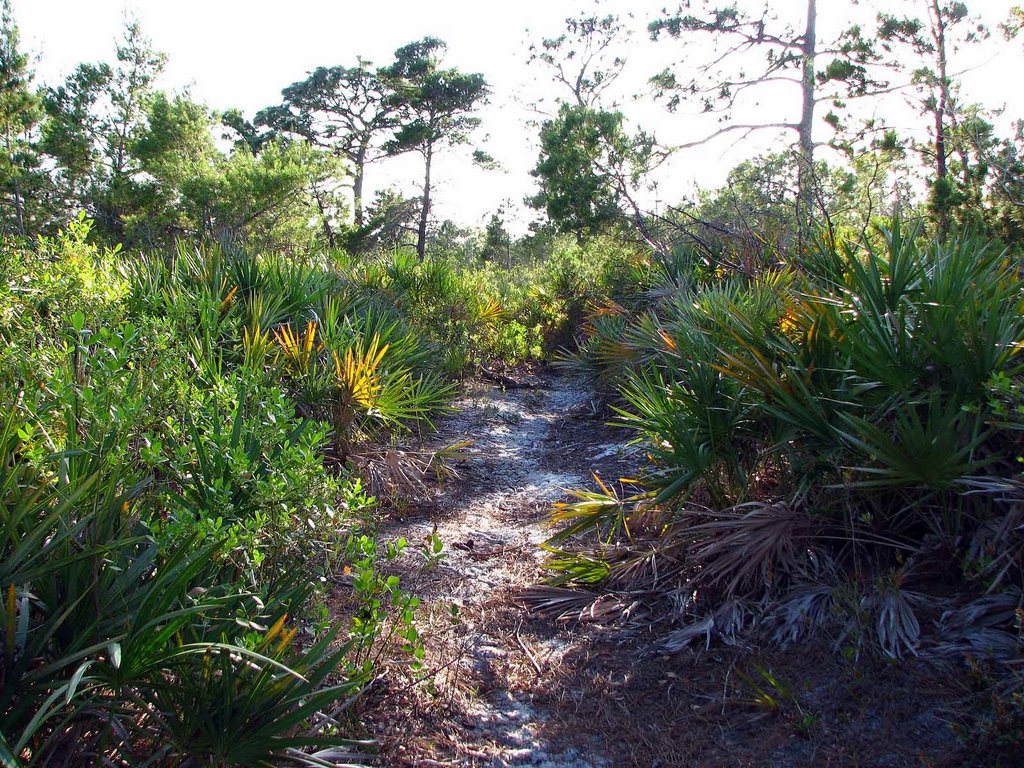 One of the trails in the sanctuary