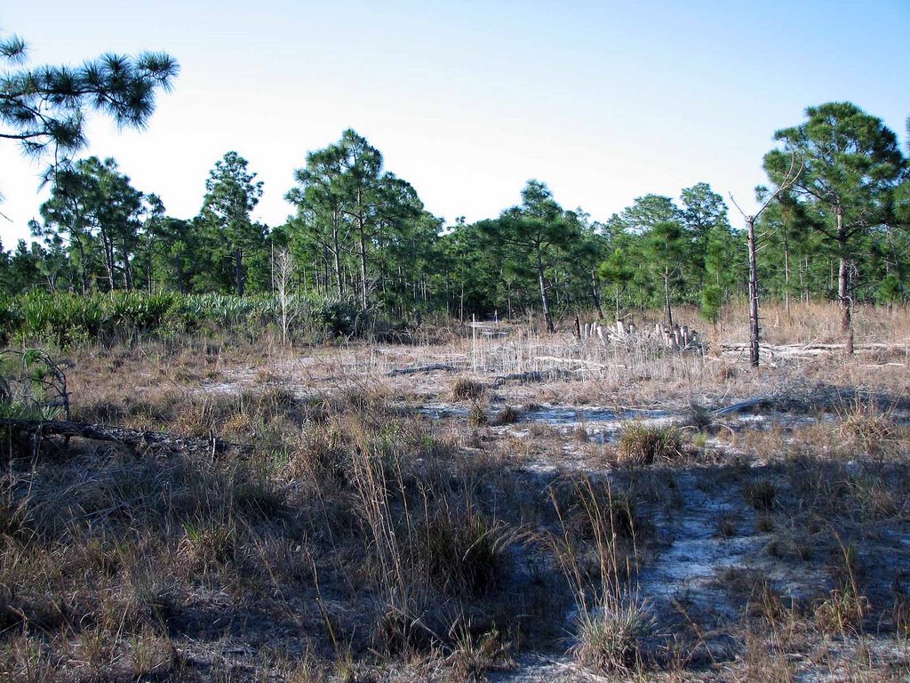 Open area linking trails