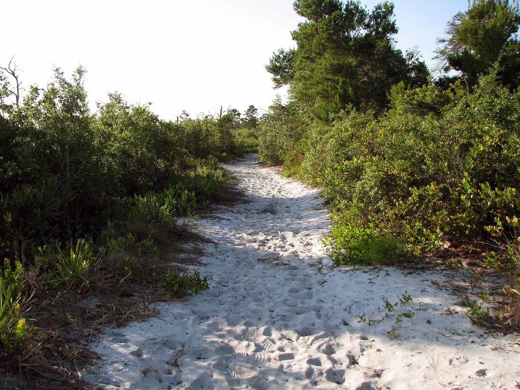 One of the trails in the sanctuary