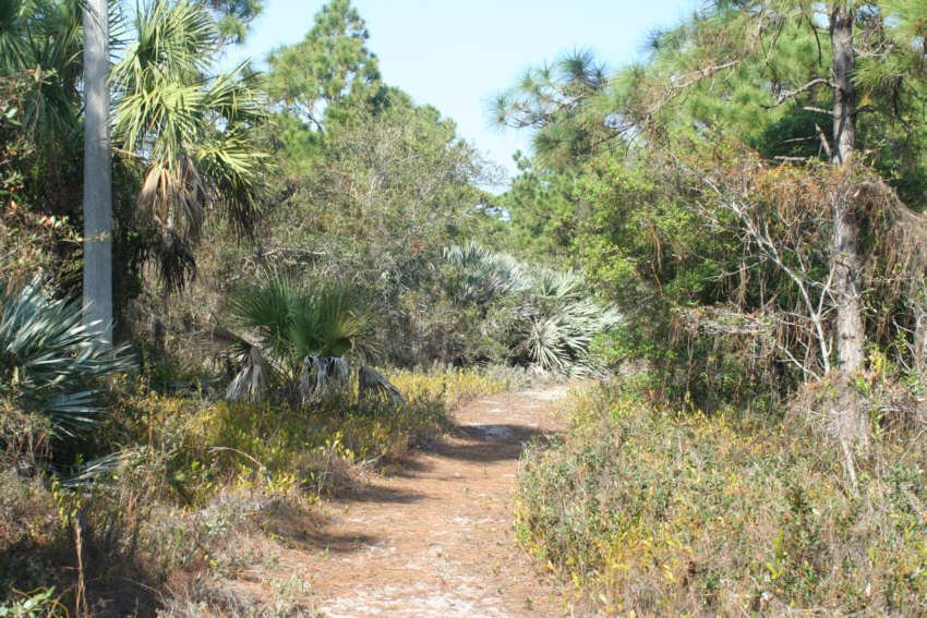 Overlook Scrub Natural Area