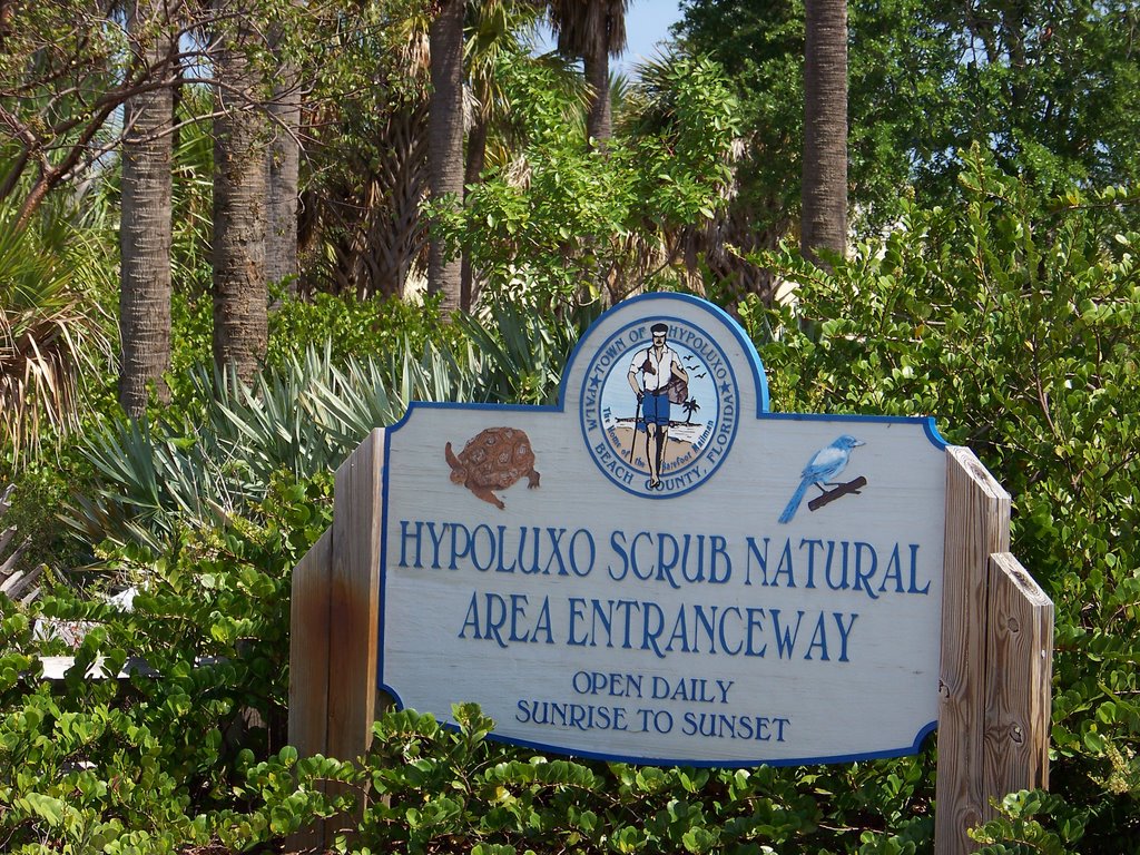 Hpoluxo Scrub
