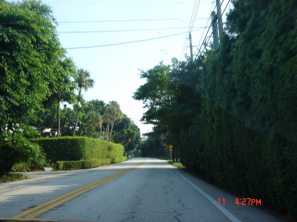 A1A