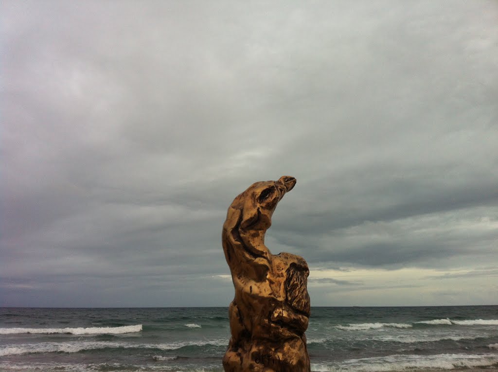 Life from the Sea - Attila JK