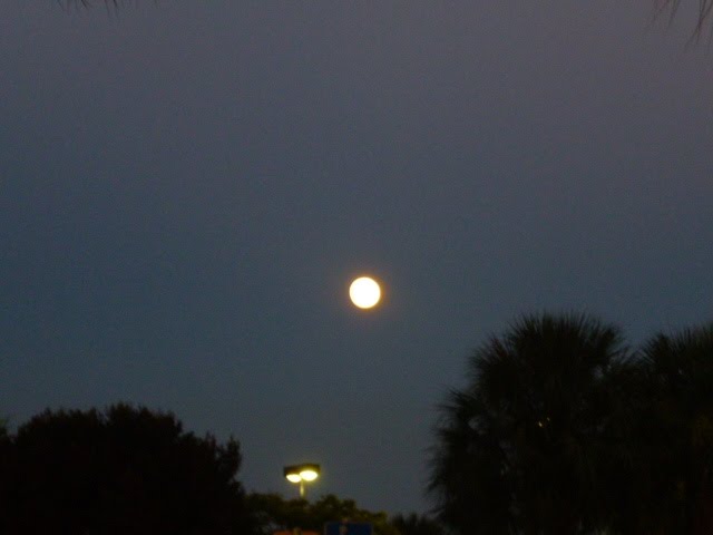 Full Moon over Margate, Fl 8/1/12