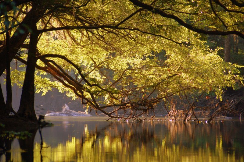Chipola River