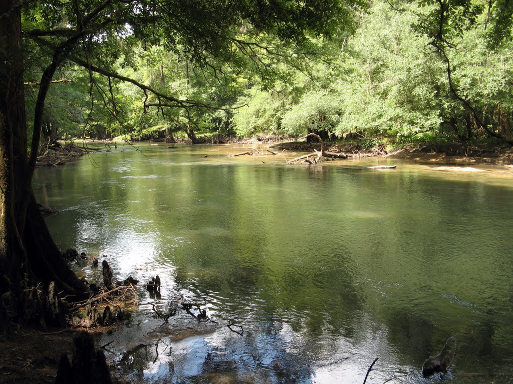 Chipola River