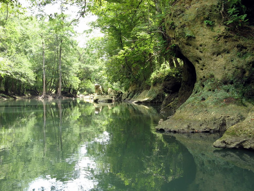 Chipola River limestone
