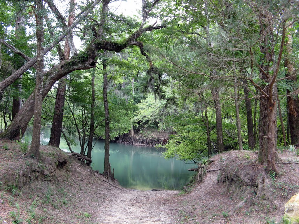 Chipola River canoe takeout