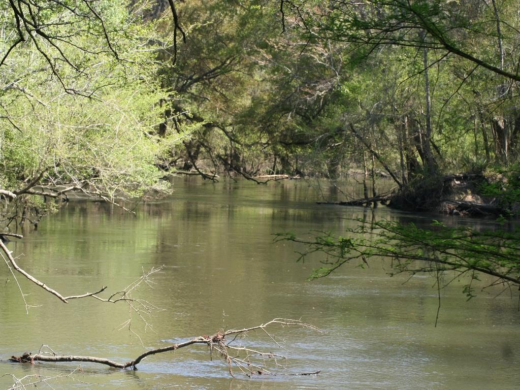 Chipola River north of Kelson Ave.