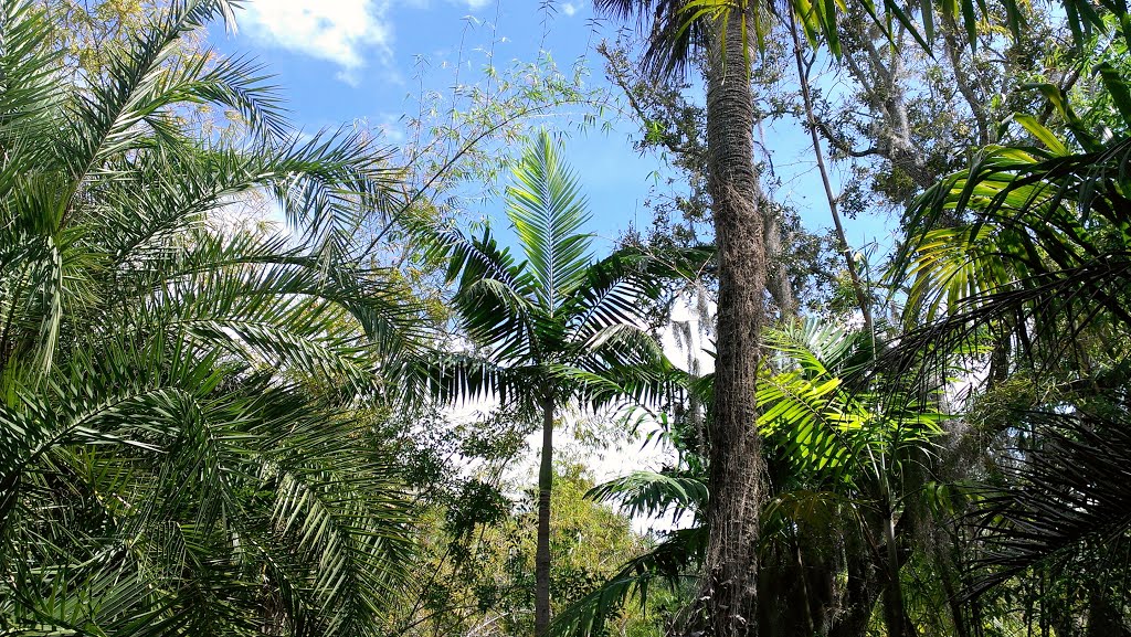 FIT Botanical Garden