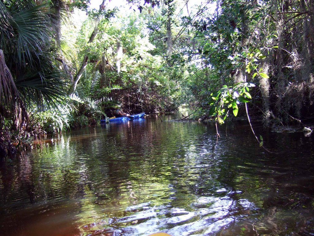 Upper Crane Creek - Kayaking