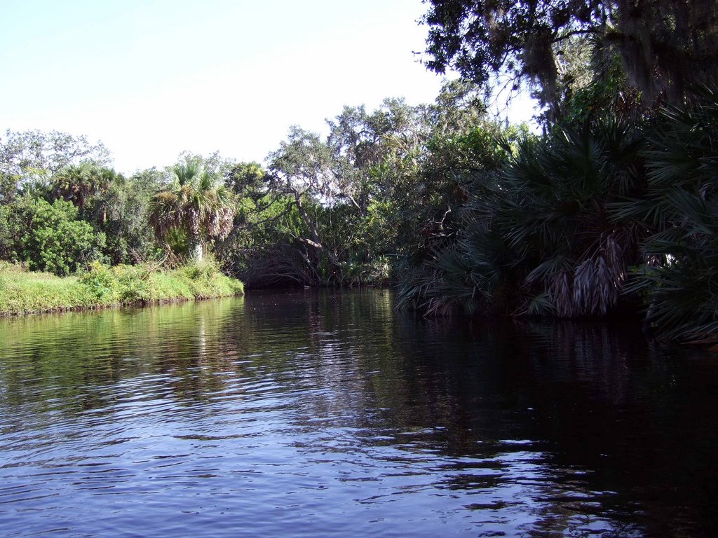 Upper Crane Creek - Kayaking