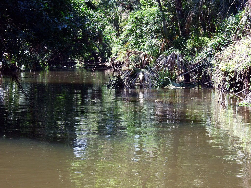 Crane Creek