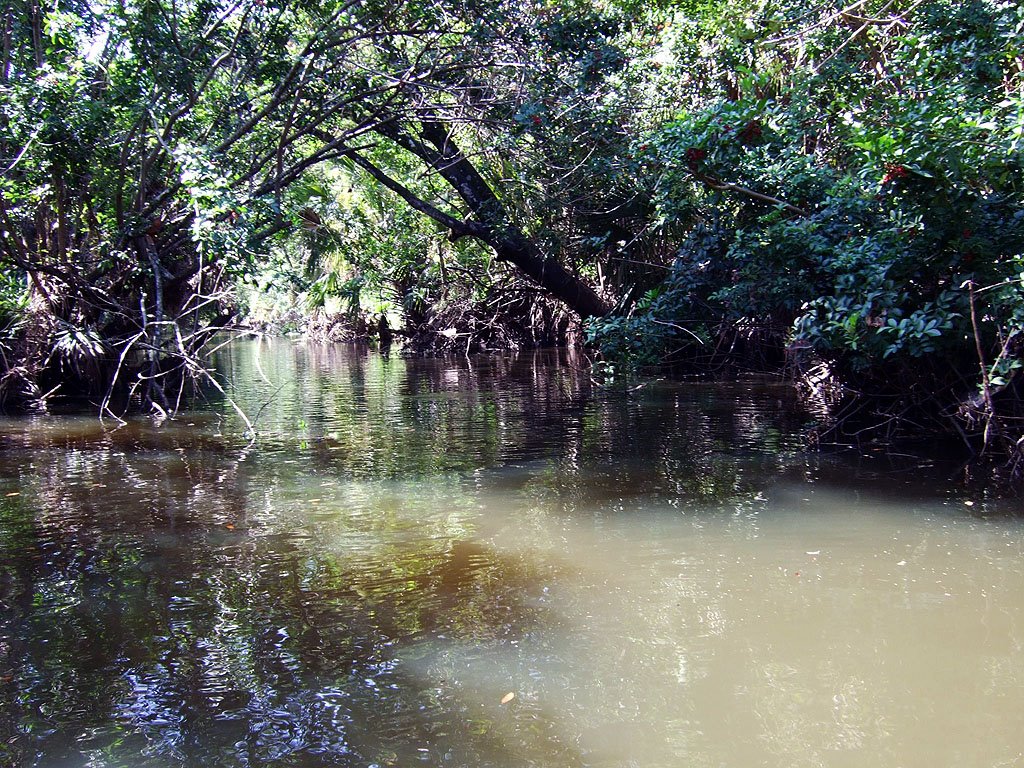 Crane Creek overhangs