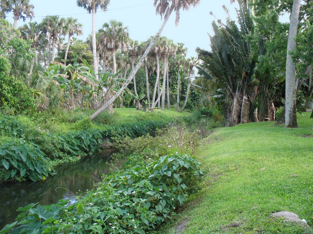 "Historic" Cranes Creek