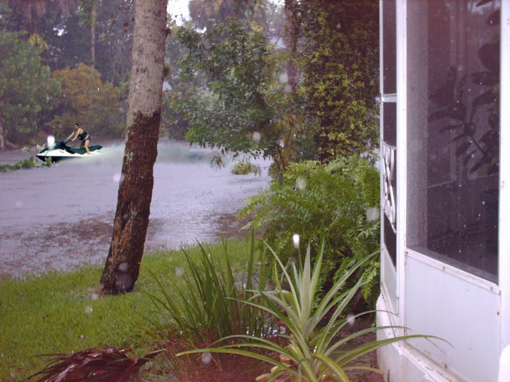 Damn the hurricane...full speed ahead!