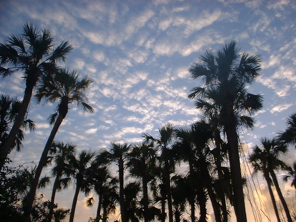 Florida Sunrise