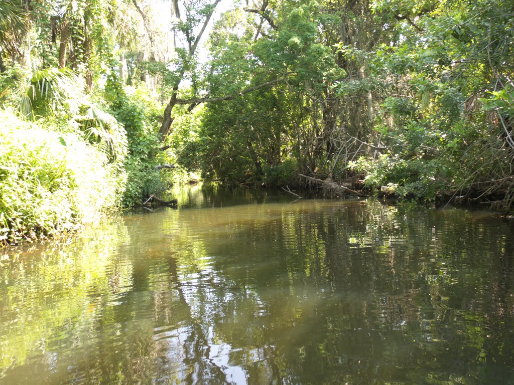 Crane Creek