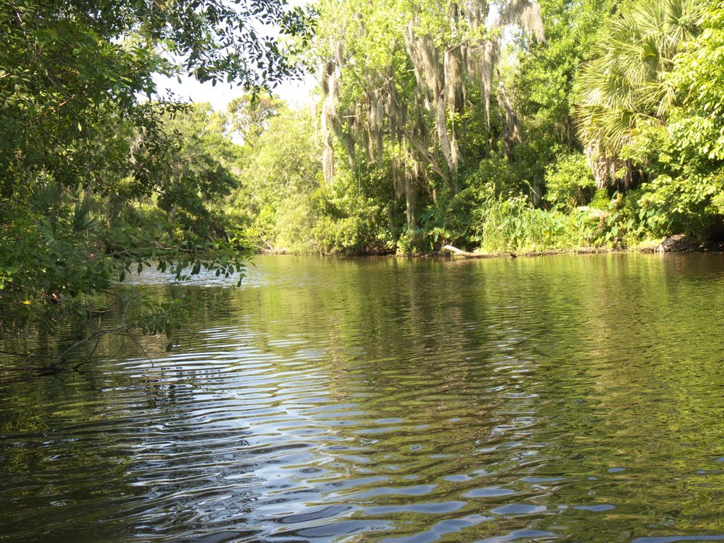 Crane Creek