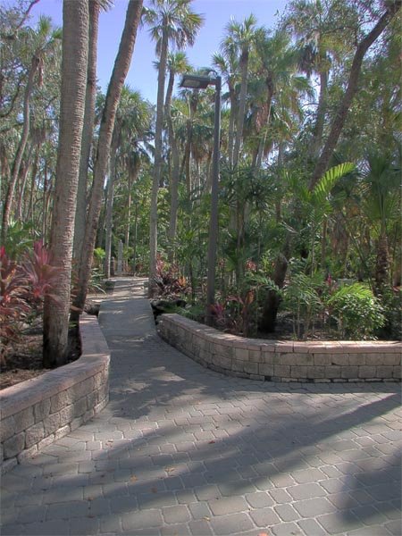 Botonical Garden, Florida Institute of Technology