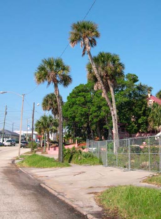 The old Palmetto Walkway, New Haven Ave and Front St