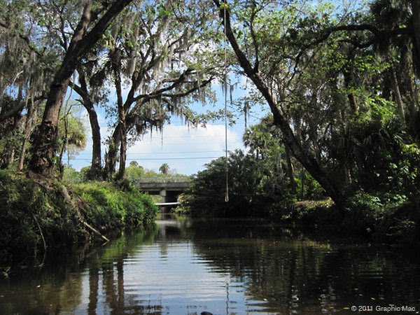 Tarzan Rope crossing Crane Creek