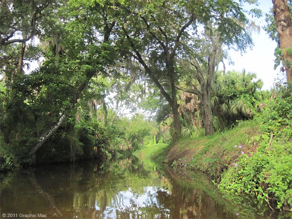 Crane Creek
