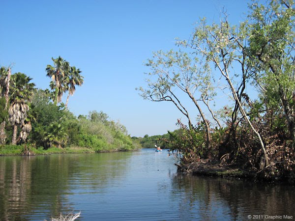 Crane Creek Looking East