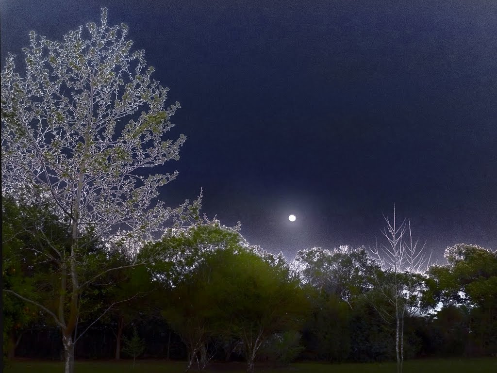 Moonrise