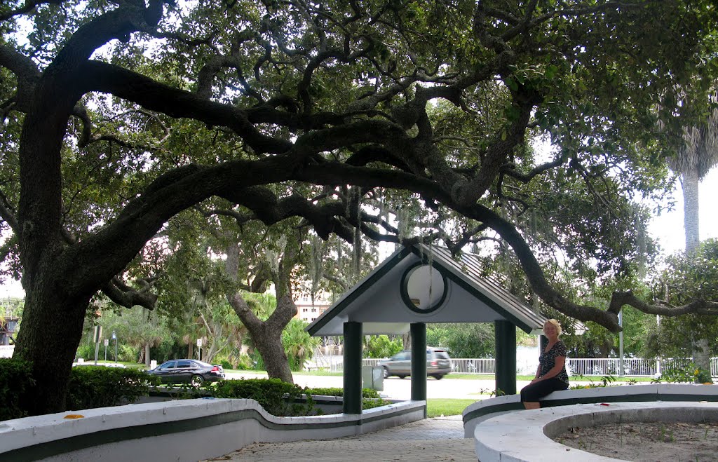 Live Oaks at Holmes Park, Downtown Melbourne