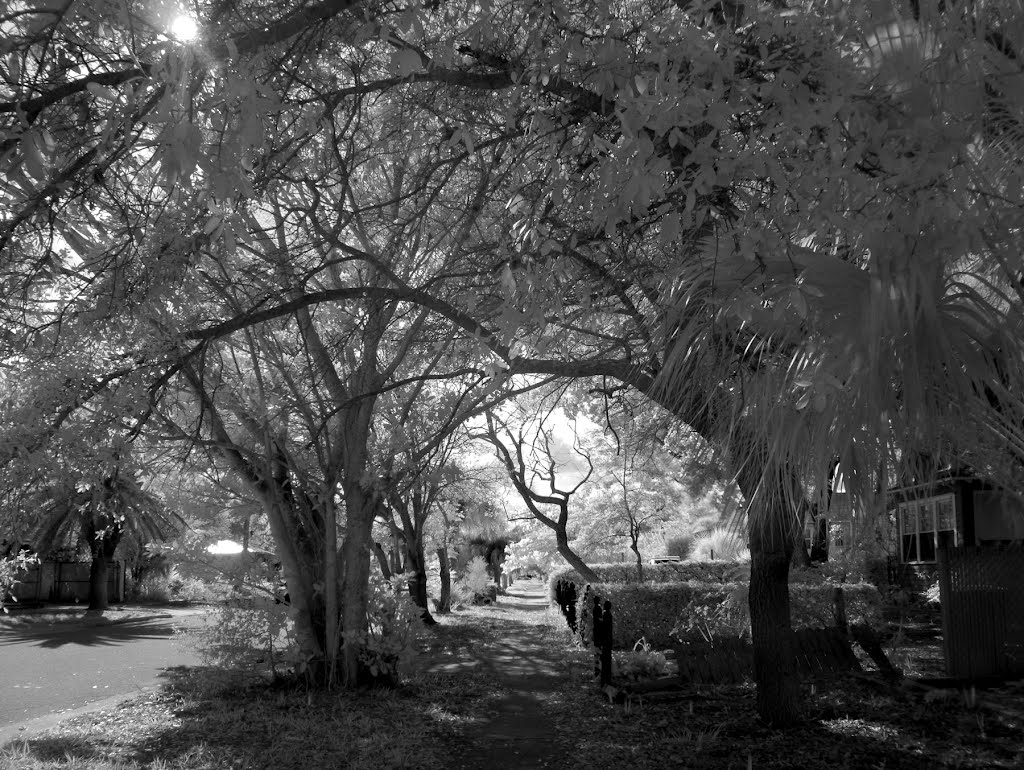 Hometown charm, Melbourne, Florida